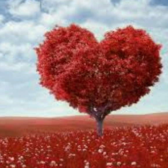 Meet the Posher Other - Meet your Posher, Tracy